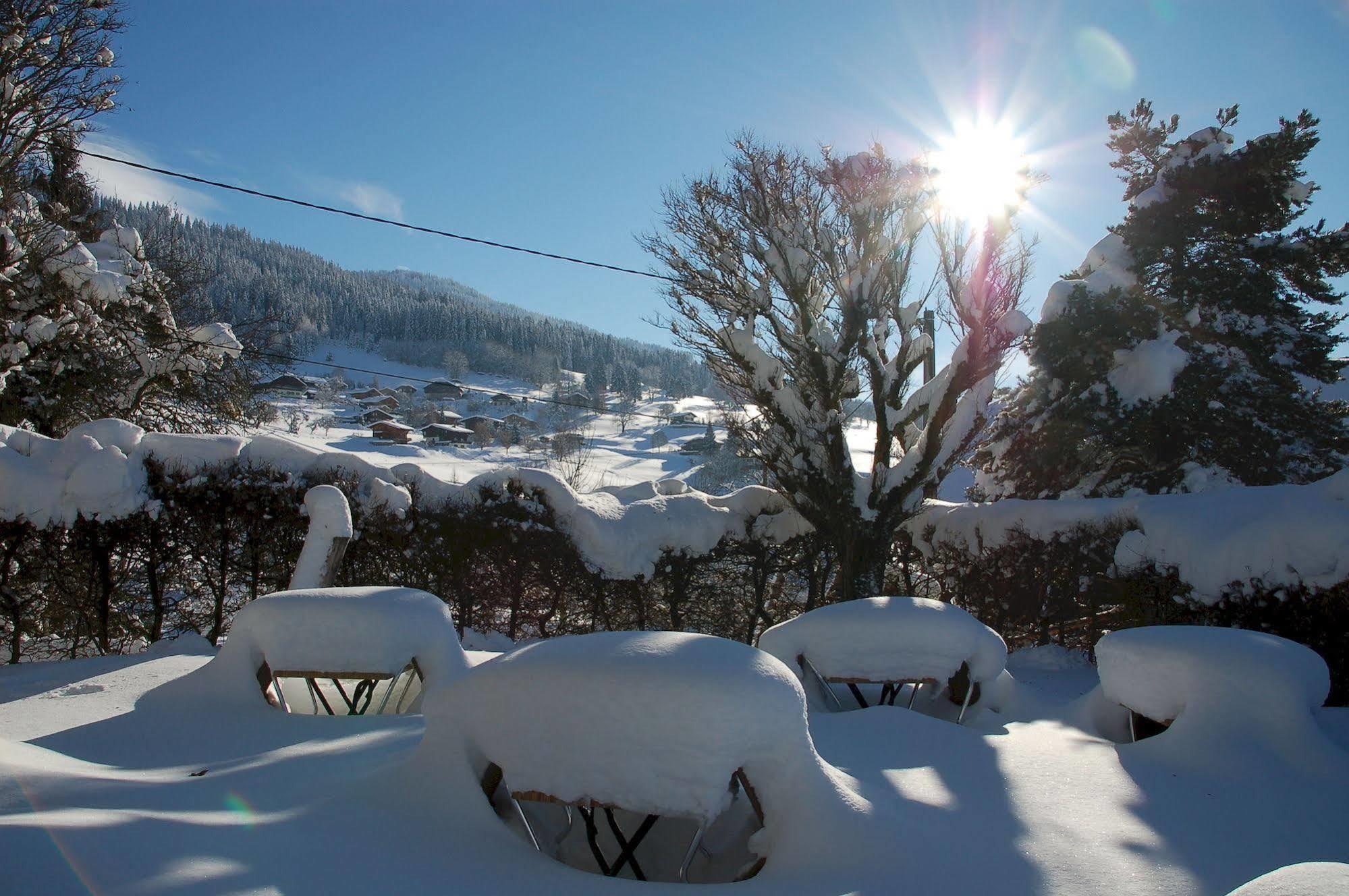 Hotel Le Caprice Des Neiges Combloux Esterno foto